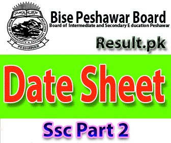 bise p Ssc part 2 Result 2024 class FSC, Matric, 11th, 9th, 10th, 5th, 8th, HSSC, FA, 12th, SSC, Inter, Intermediate, SSC Part 1, SSC Part 2, Inter Part 1, Inter part 2, 1st year, 2nd year, ICS, ICOM