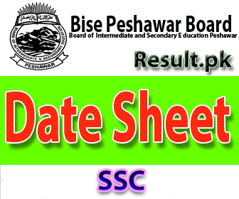 bise p Ssc Result 2024 class FSC, Matric, 11th, 9th, 10th, 5th, 8th, HSSC, FA, 12th, SSC, Inter, Intermediate, SSC Part 1, SSC Part 2, Inter Part 1, Inter part 2, 1st year, 2nd year, ICS, ICOM